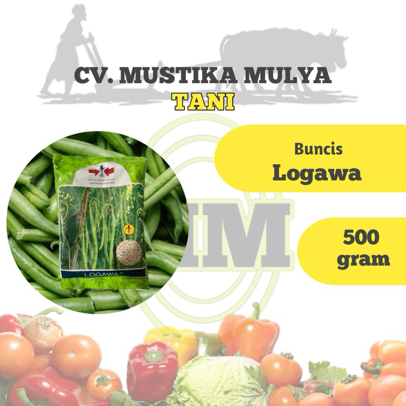 BIBIT BUNCIS ( LOGAWA ) CAP PANAH MERAH