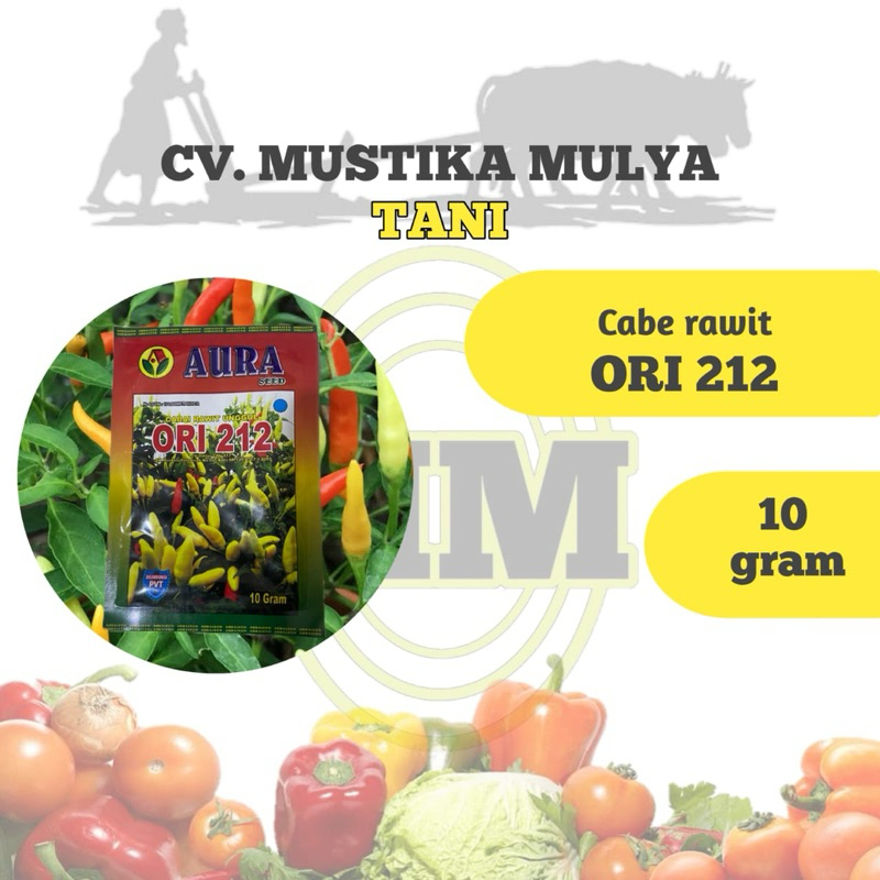 BIBIT CABE RAWIT ( ORI 212 ) AURA