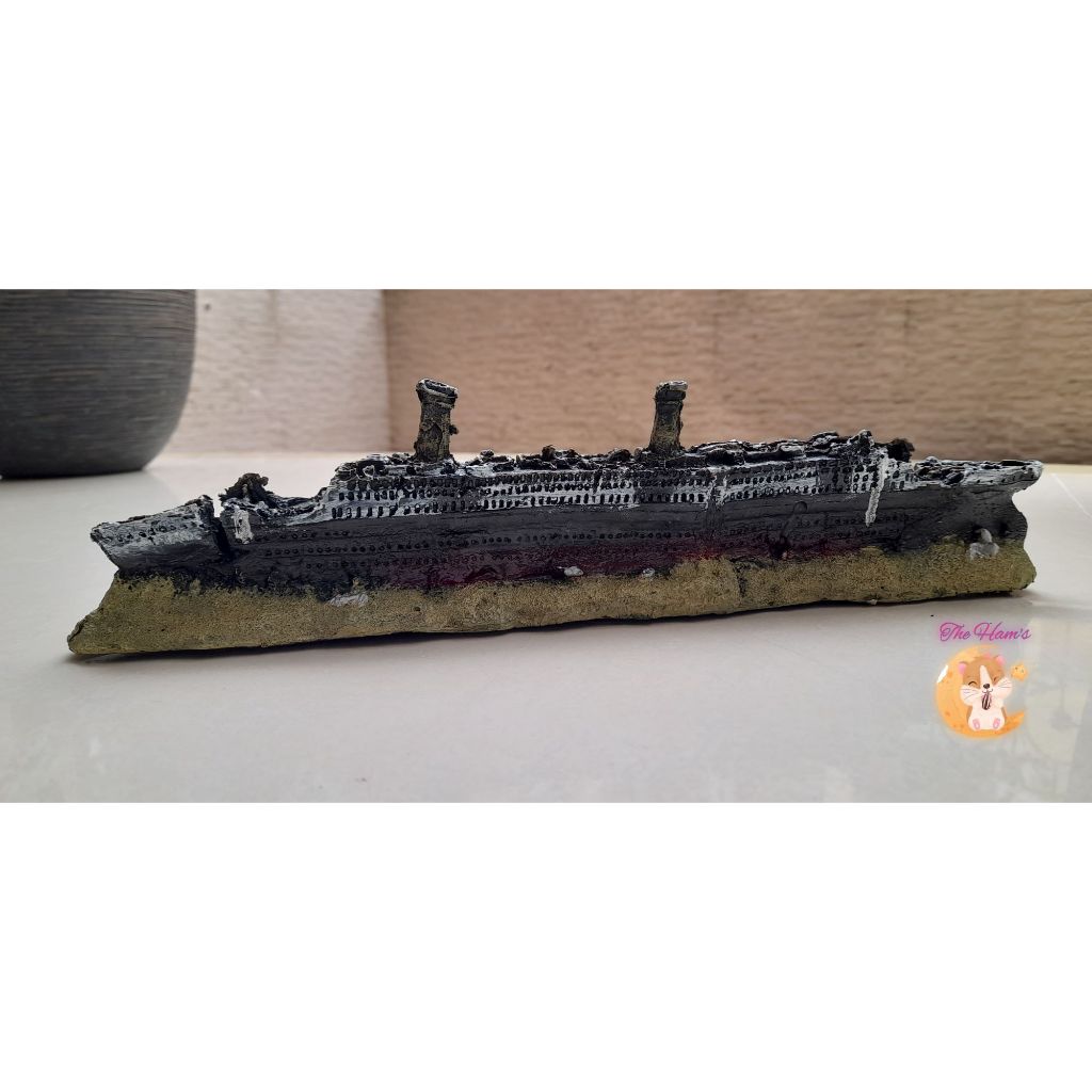 (The Ham's) Kapal pesiar karam, kapal pesiar titanic karam, kapal titanic karam, kapal titanic, kapa