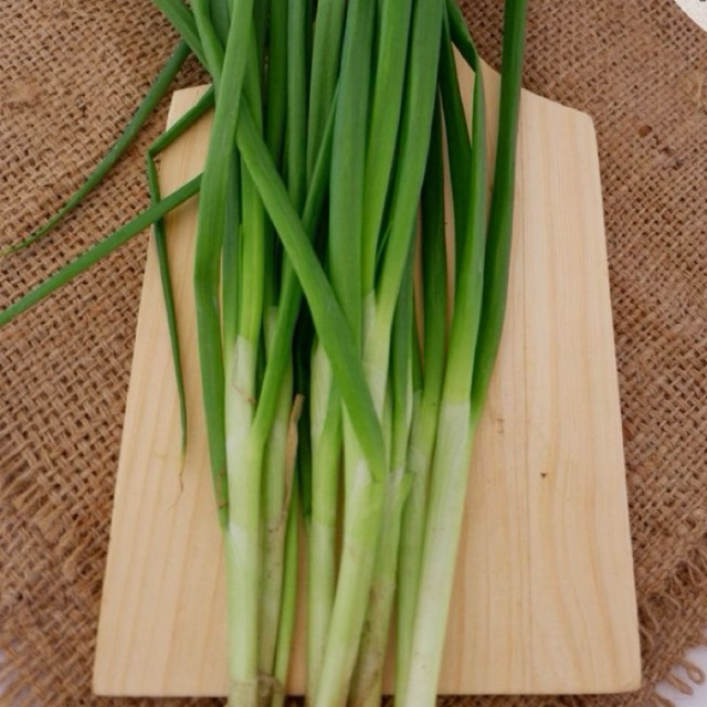 

daun bawang pre prei termurah promo