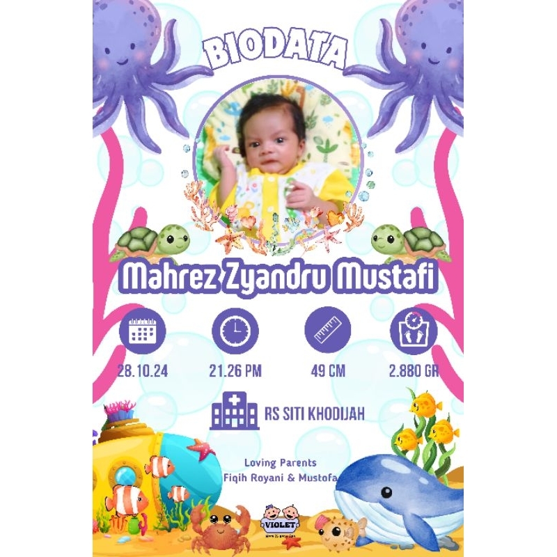 BIODATA BAYI CETAK + BINGKAI