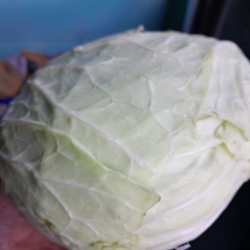 

kol 500 gram