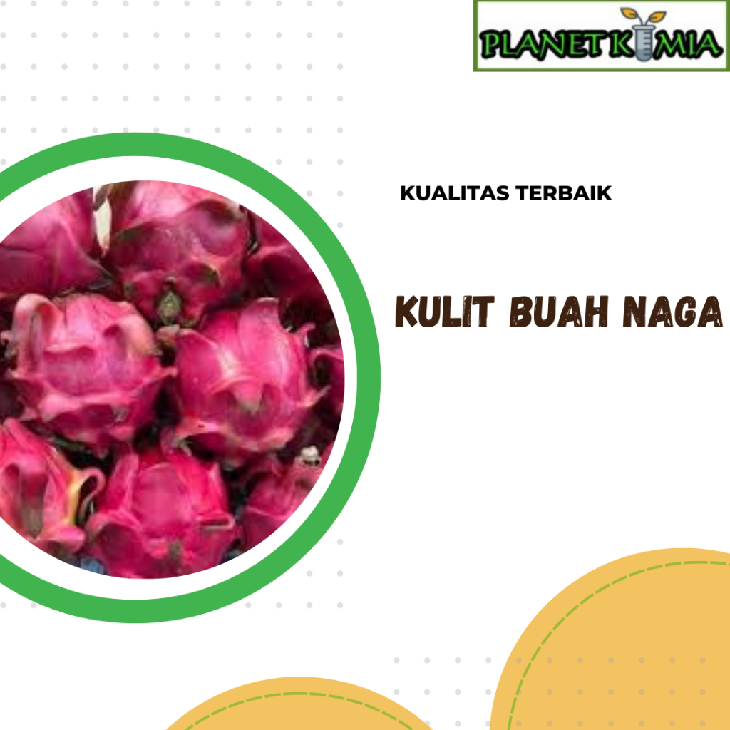 

ekstrak kulit buah naga best product
