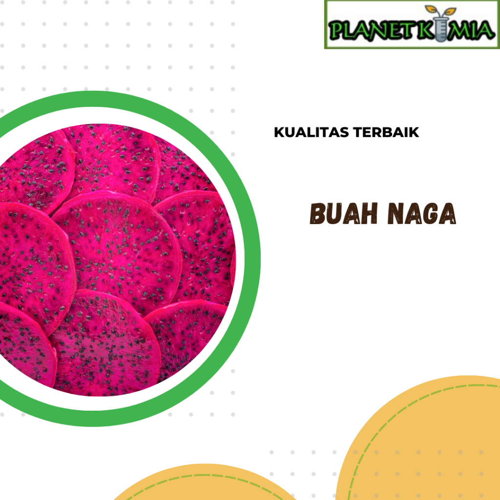 

ekstrak buah naga best product