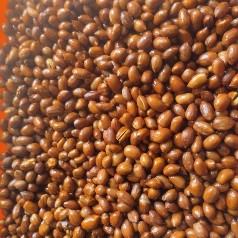 

kacang tanah goreng original 250 gr