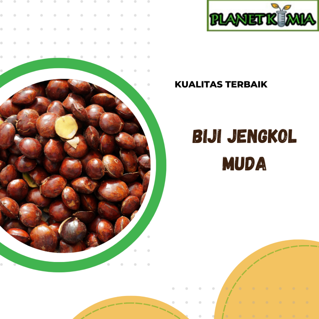 

ekstrak biji jengkol best product