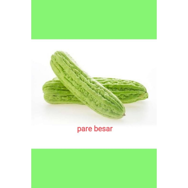 

PARE BESAR/PARE CINA