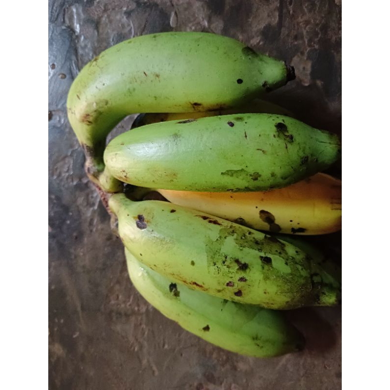 

Pisang setengah matang