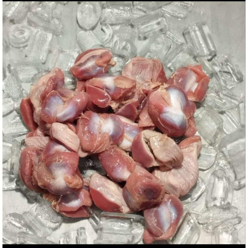 

AMPELA AYAM