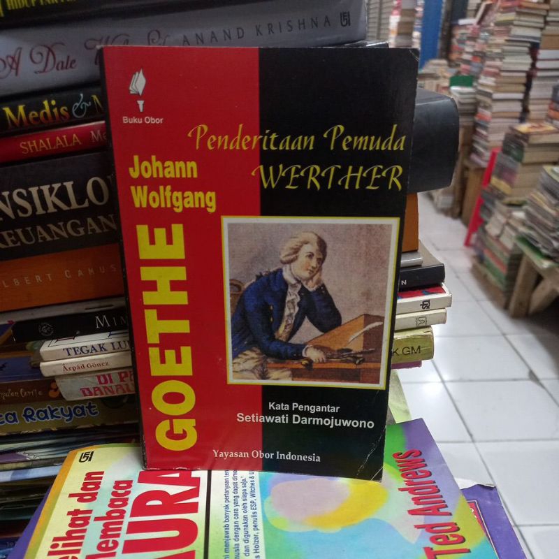 PENDERITAAN PEMUDA WERTHER JOHANN WOLFGANG GOETHE