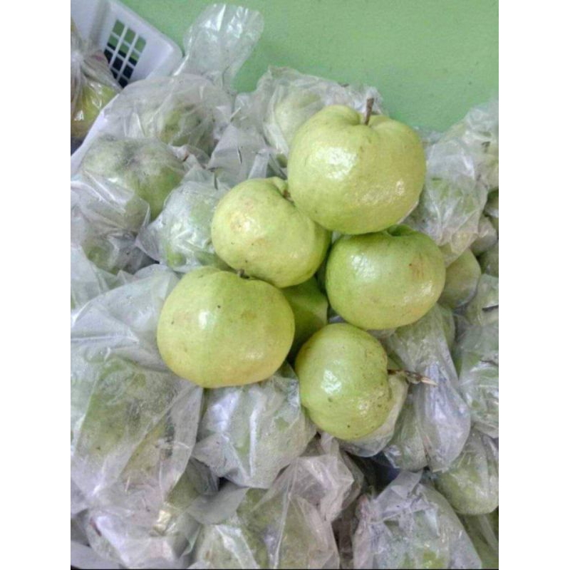 

buah jambu kristal 1 kg
