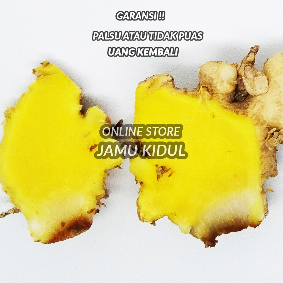 

Bengle 100gr Segar Bangle / Panglai / Bongla Jamu dan Sawan