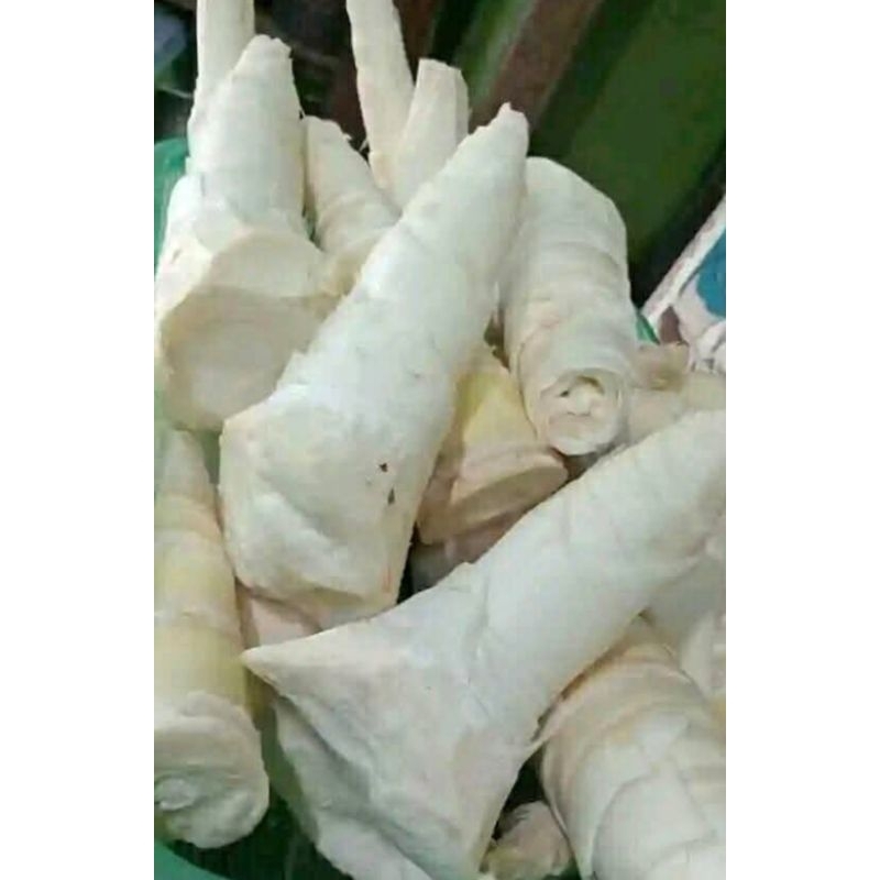 

REBUNG MUDA /SAYUR KUPAS BERSIH 1KG