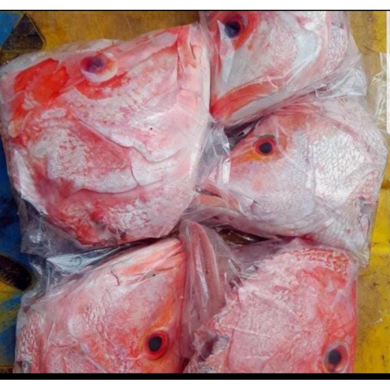 

KEPALA KAKAP MERAH 1KG ISI 4