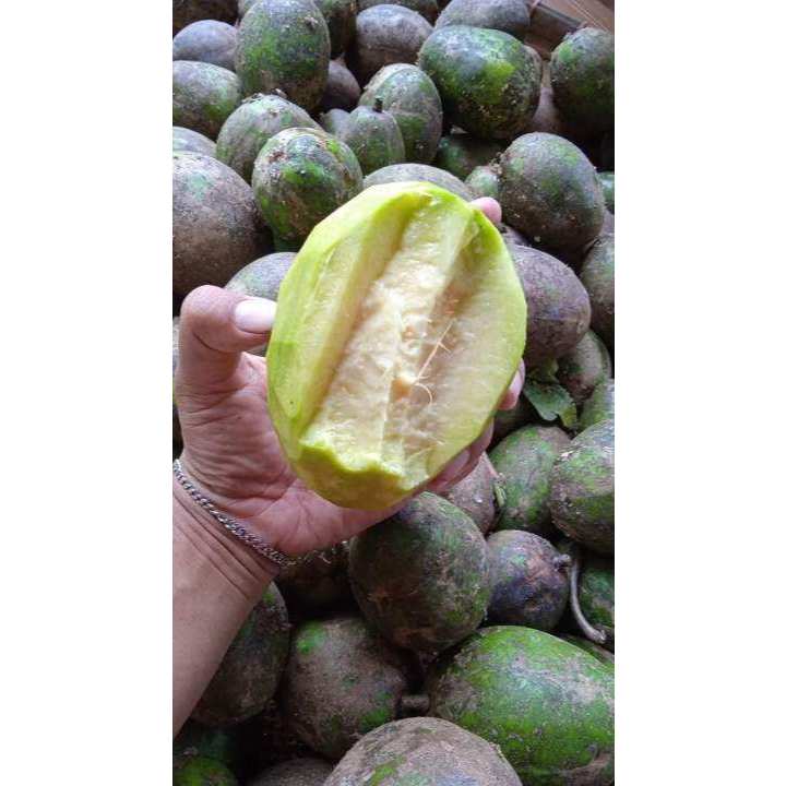 

Buah kedondong super segar free petis panarukan atau petis ikan 1kg