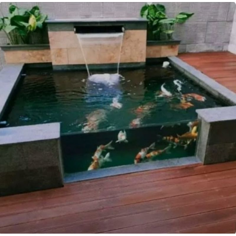 kolam koi kaca minimalis
