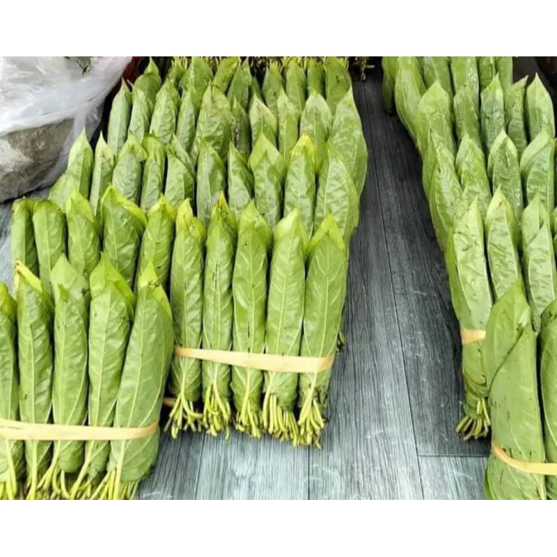 

sirih Medan 1 kepit/ sirih enak