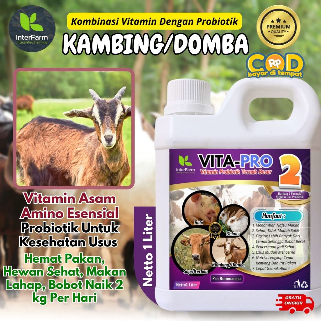 Obat penggemuk Kambing dan domba, Vitamin penggemuk Domba paling cepat, Jamu penggemuk Kambing