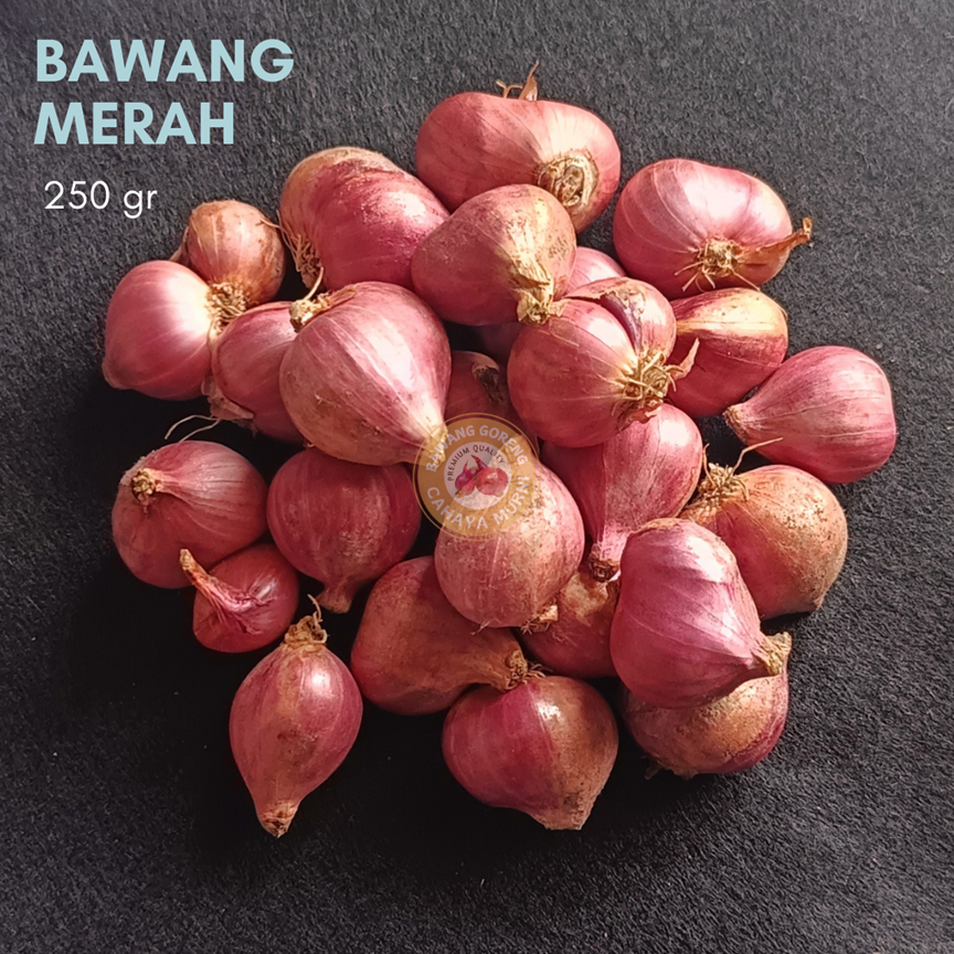 

[1 KG] BAWANG MERAH TANGGUNG GEDI NDOL