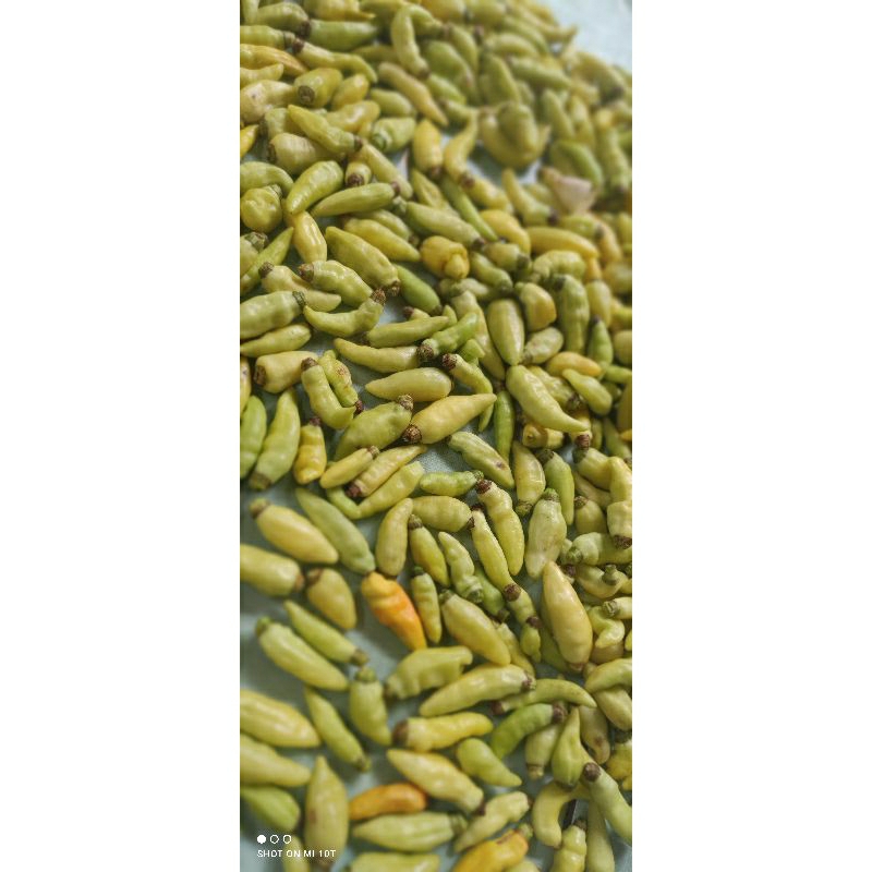 

CABE RAWIT PUTIH 500g