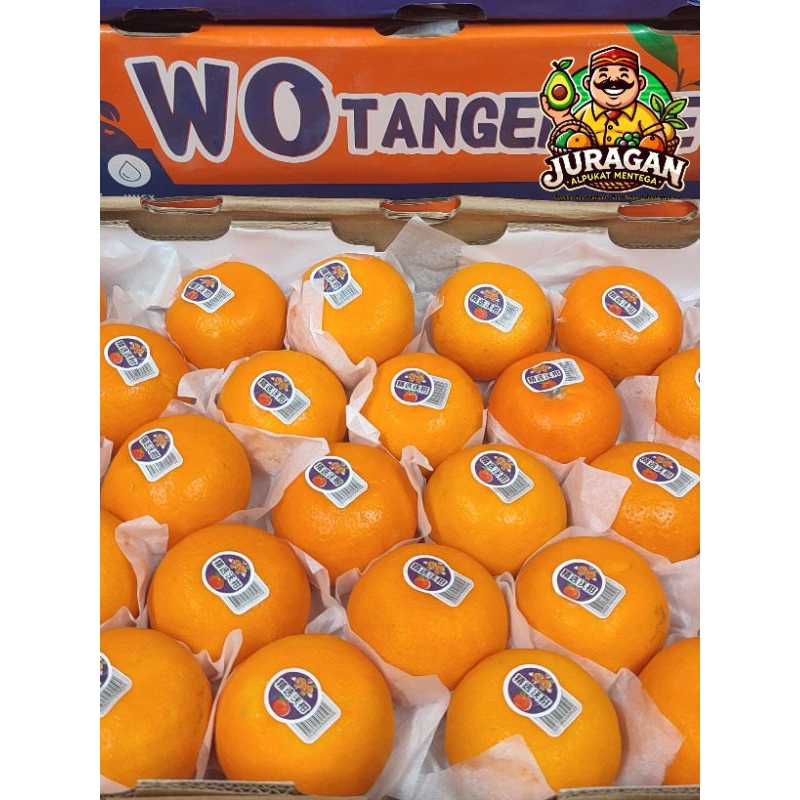 Jeruk Mandarin Wokam / Jeruk Mandarin Wogan / Buah Jeruk Wokam Wogan Fresh