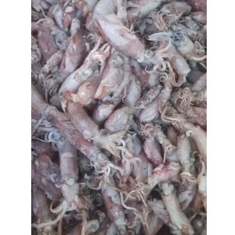 

Ikan Asin Cumi