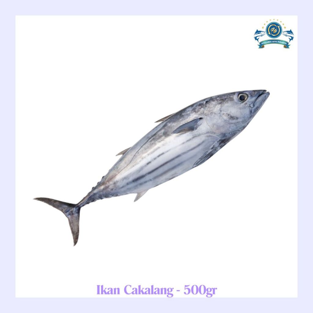 

Frozen Ikan Cakalang 500gr (1-2pcs per pack)