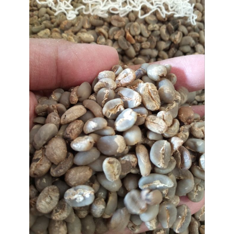 

Biji kopi mentah Arabica Mandheling Grade 1