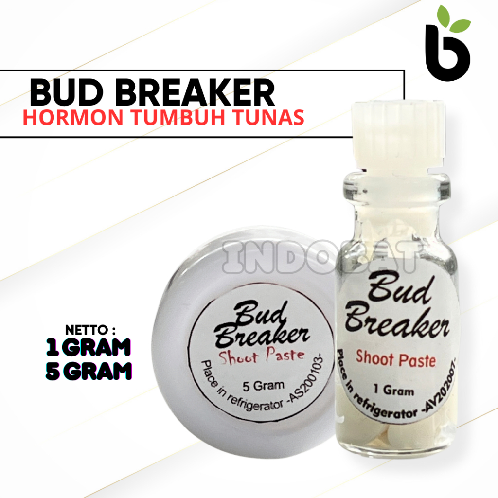 Pupuk Oles Bud Breaker Hormon Percpepat Pertumbuhan Tunas Bunga Tanaman Angrek