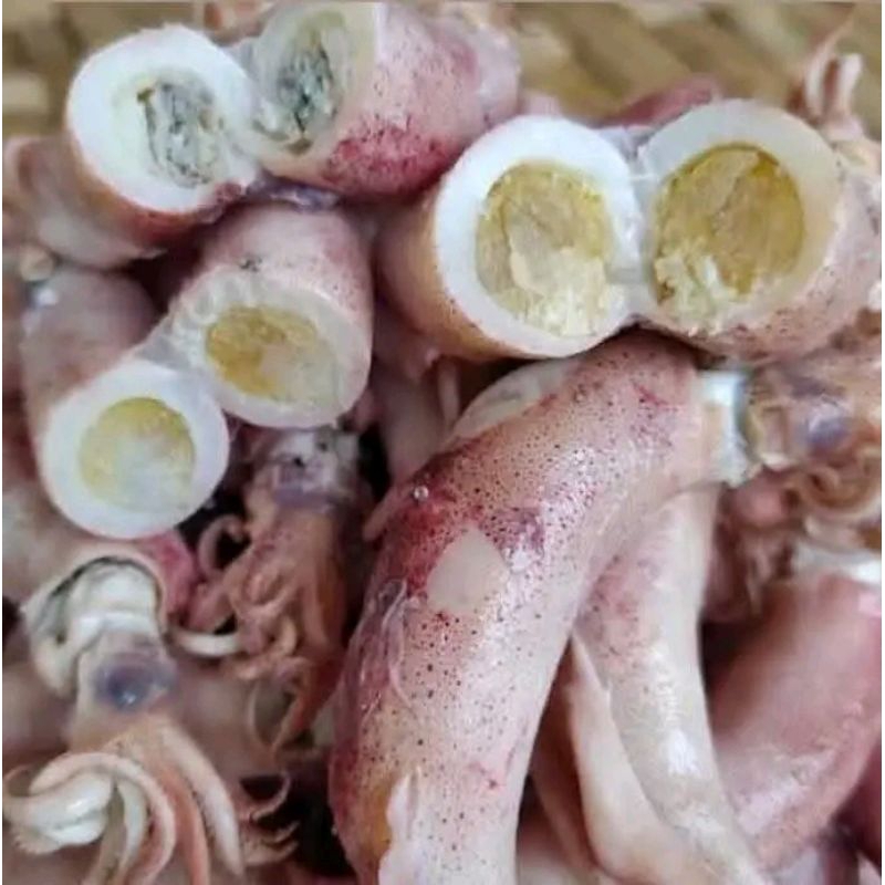 

cumi telor cumi bertelor hasil laut cumi laut 1kg