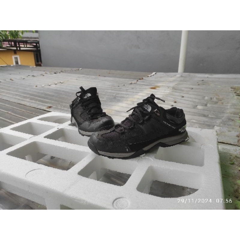 sepatu TNF