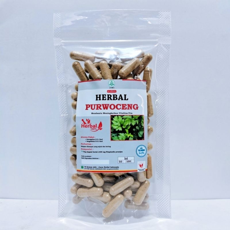 Herbal Curah PURWOCENG isi 100 KAPSUL