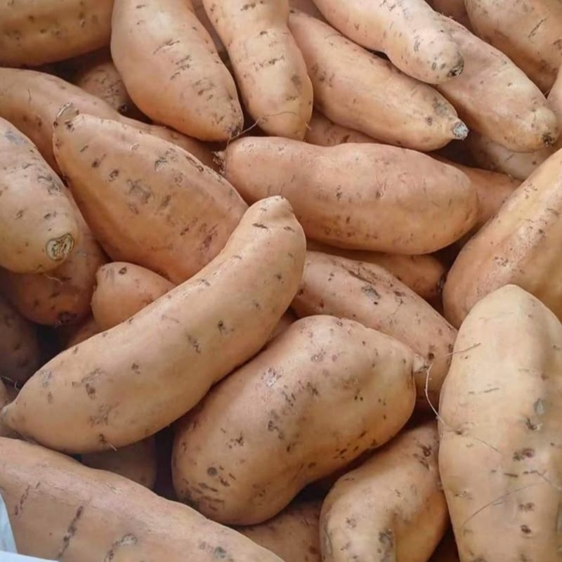 

Ubi Madu Cilembu Mentah 1 KG