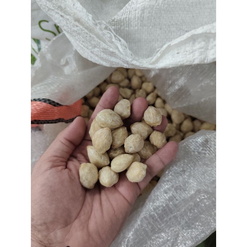 

Kemiri Utuh