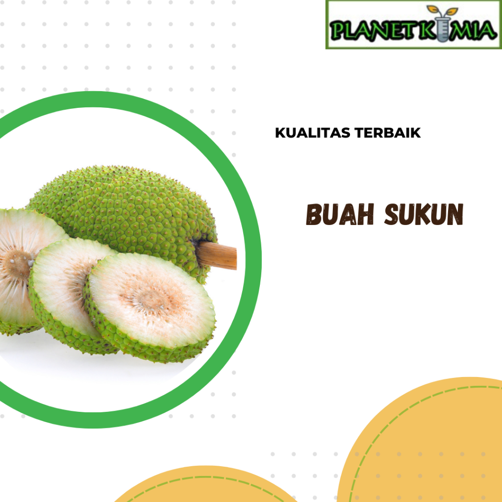 

ekstrak buah sukun best product