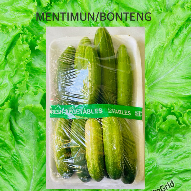 

SAYUR SEGAR MENTIMUN SEGAR