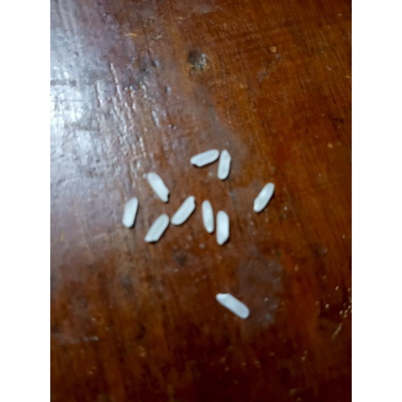 

jual beras 10 butir premium