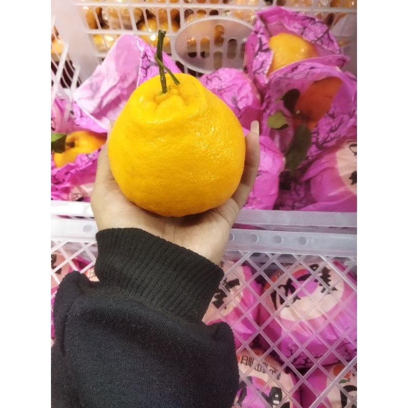

Jeruk papagan dekopon manis tanpa biji 6kg/keranjang