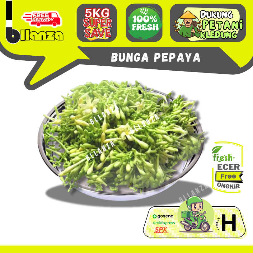 

Bllanza | Bunga Pepaya — Sahabat Makan Sayur Ecer (H)