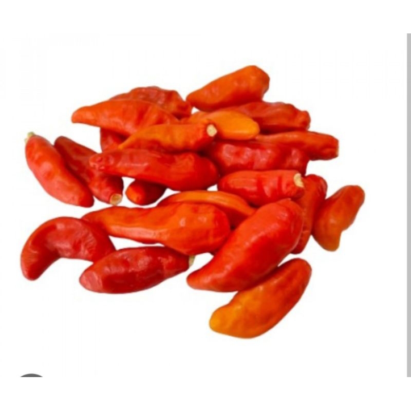 

Cabe Rawit Merah Petik Segar ½kg - 500gram / Cabai Rawit Merah Petik Segar ½kg - 500gram