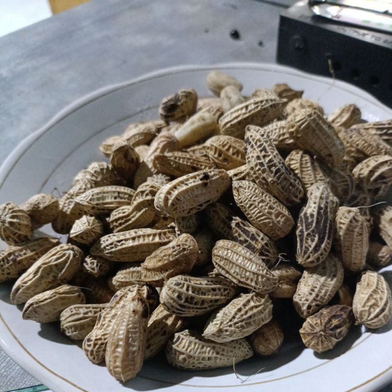 

KACANG TANAH 250 gr