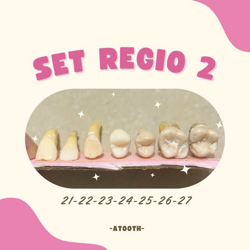 Unsur Gigi Praktikum REGIO 2