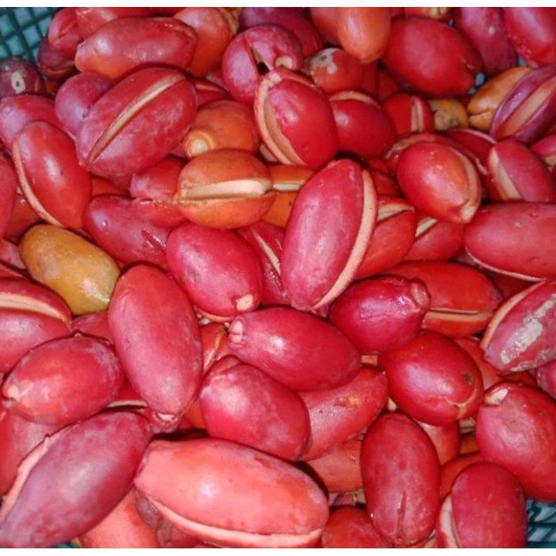 

INSTAN - KULIT MELINJO SUPER SEGAR 250GRAM