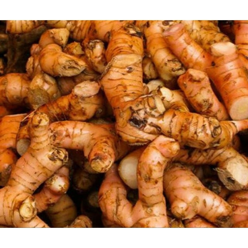 

lengkuas desa segar 250 gram/Laos fresh