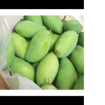 

MANGGA KAMPUNG 500g