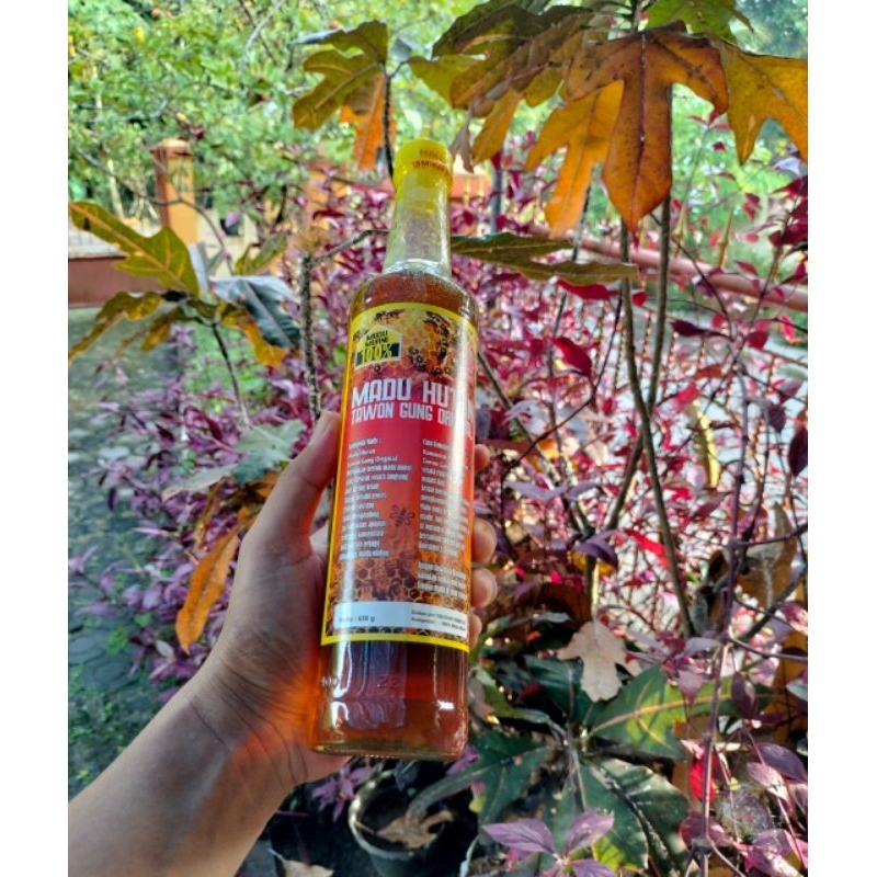 

Madu Hutan Tawon Gung original