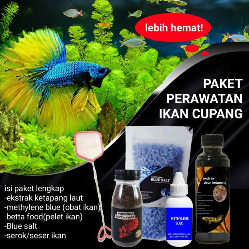 Paket Perawatan Ikan Cupang Pertumbuhan dan Mutasi Warna