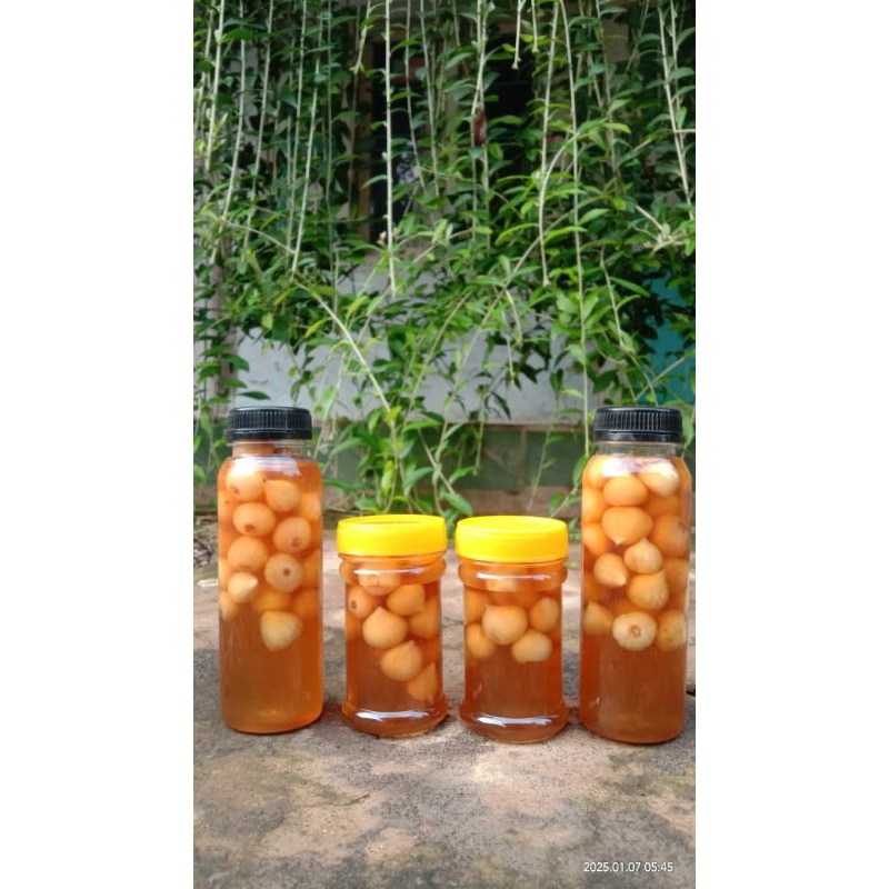 

madu bawang lanang