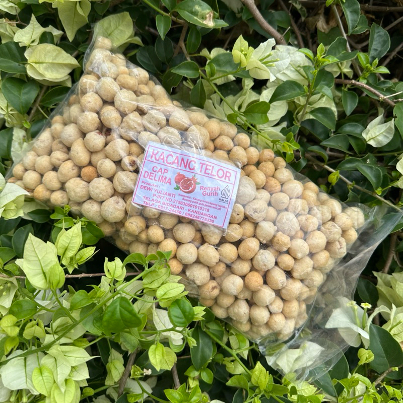 

Kacang Telor (500gr)