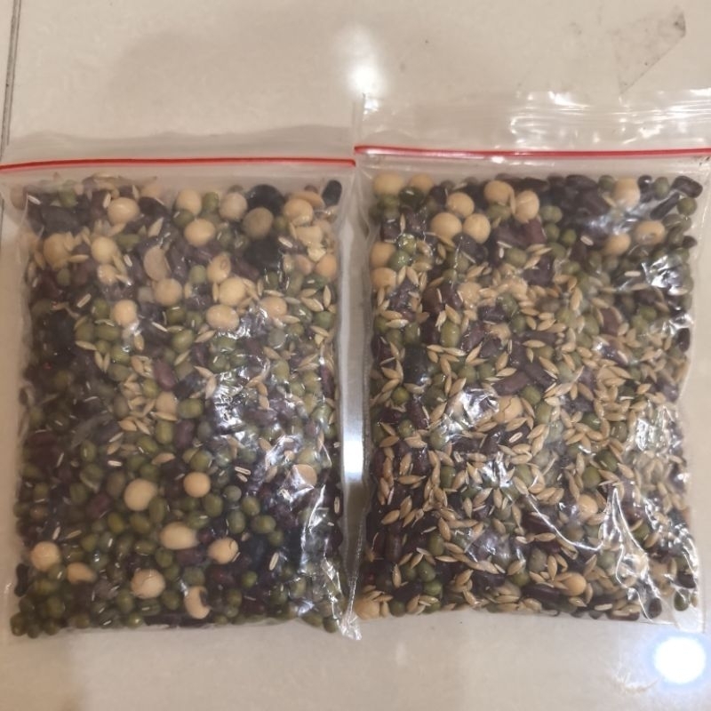 go kok, ngokok sembahyang. lima macam bijian sembahyang. ngokok.